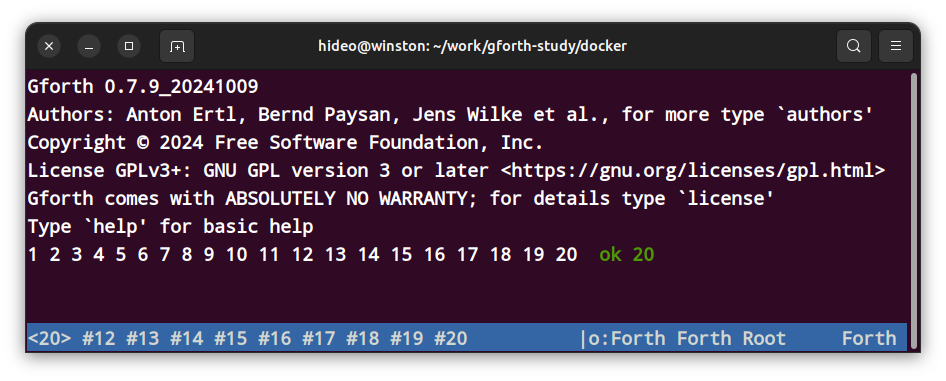 ../_images/gforthdk-win2.png